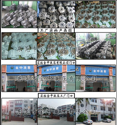 AR16變量柱塞泵 從機(jī)械通用到專業(yè)液壓系統(tǒng)的核心動(dòng)力